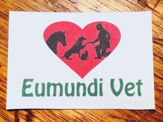 Eumundi-Vet